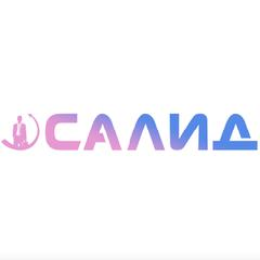 Логотип САЛИД