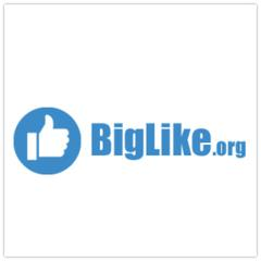 Логотип BIGLIKE