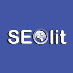 Логотип Seolit