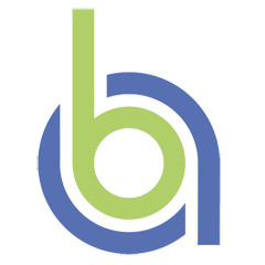 Логотип системы Brand Visor