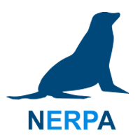 Логотип CMMS-системы NERPA EAM