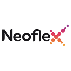 Логотип Neoflex Reporting