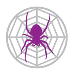 Логотип системы Spider Project