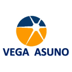 Логотип Vegaasuno