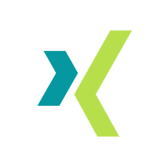 Логотип системы XING