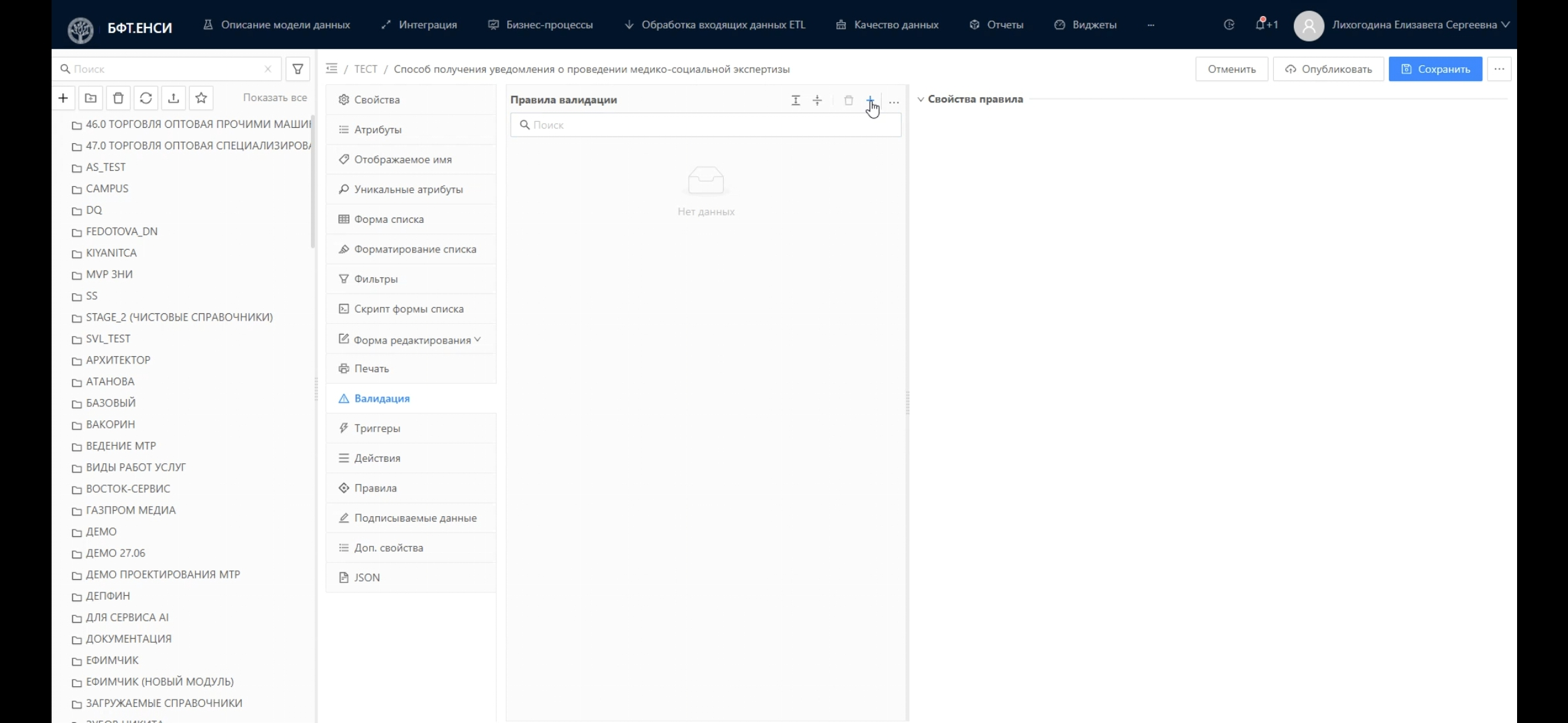Настройка правил валидации данных для справочников в ПО для управления нормативно-справочной информацией БФТ.ЕНСИ