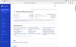 Верификация благонадёжности физлица по базам ФССП, МВД, ФНС в аналитическом сервисе CheckPerson