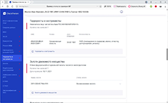 Проверка наличия в базе Росфинмониторинга и залогов имущества в аналитическом сервисе CheckPerson