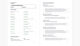 Комплексная проверка благонадёжности физлица с формированием досье в информационно-аналитической системе Femida