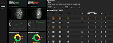 Анализ гранулометрического состава и дефектов в ПАК промышленного контроля в специализированной системе