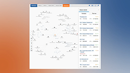 Визуализация корпоративных связей группы компаний в ИАС проверки контрагентов Интегрум Компании