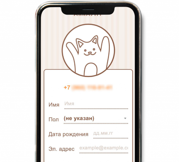 Подтверждение номера для входа в аккаунт: функционал программного продукта LoginBot