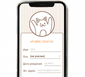 Подтверждение номера для входа в аккаунт: функционал программного продукта LoginBot