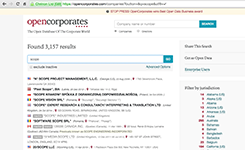 Поиск компаний с фильтрацией по юрисдикциям в информационно-аналитической системе OpenCorporates