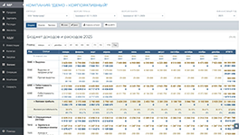 Управление бюджетом доходов и расходов (БДР) в финансовой системе Planior