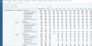 Табличный анализ финансовых показателей компании и финансовое планирование в Planum