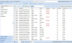 Учёт товаров и услуг в программном обеспечении Ветменеджер